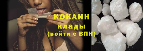не бодяженный Бородино