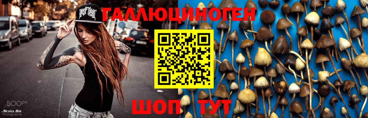 Псилоцибиновые грибы мухоморы  Галлюциногенные грибы ЛСД  Бутурлиновка 