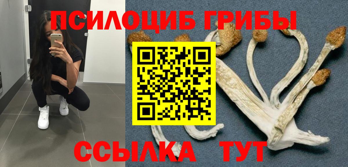 Бутурлиновка  Псилоцибиновые грибы MAGIC MUSHROOMS  Вход с VPN 