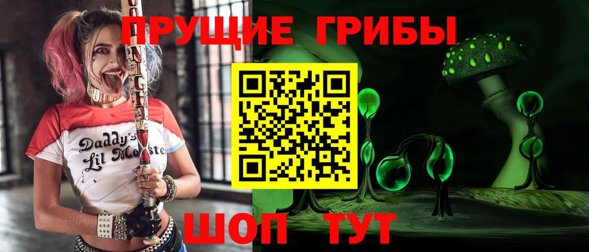 Псилоцибиновые грибы Cubensis Бутурлиновка